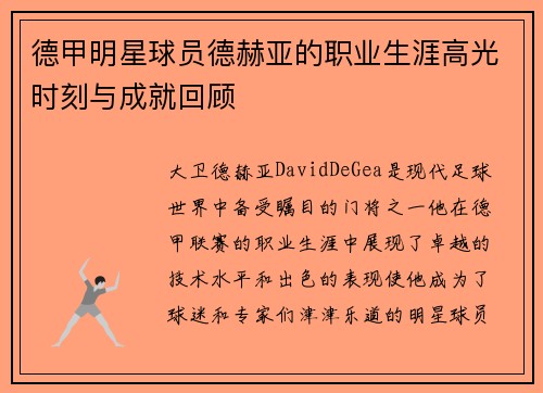 德甲明星球员德赫亚的职业生涯高光时刻与成就回顾