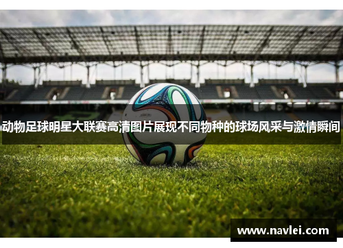 动物足球明星大联赛高清图片展现不同物种的球场风采与激情瞬间