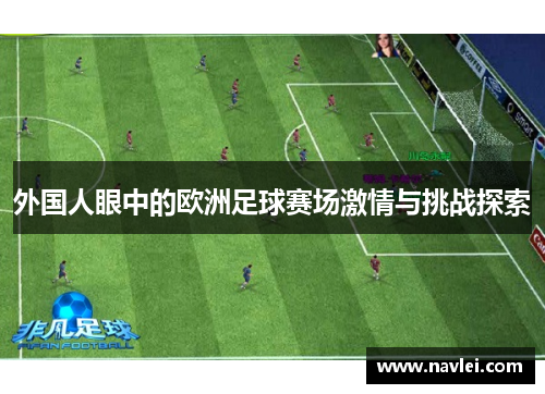 外国人眼中的欧洲足球赛场激情与挑战探索